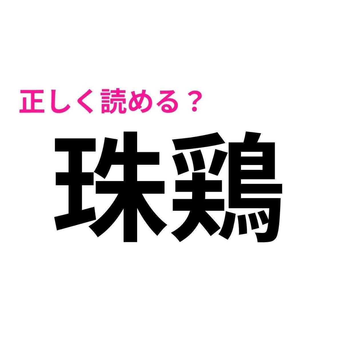 珠鶏