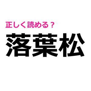 ノーヒントで読めた人、ビビるほど優秀だわ。大多数が苦戦する漢字9選