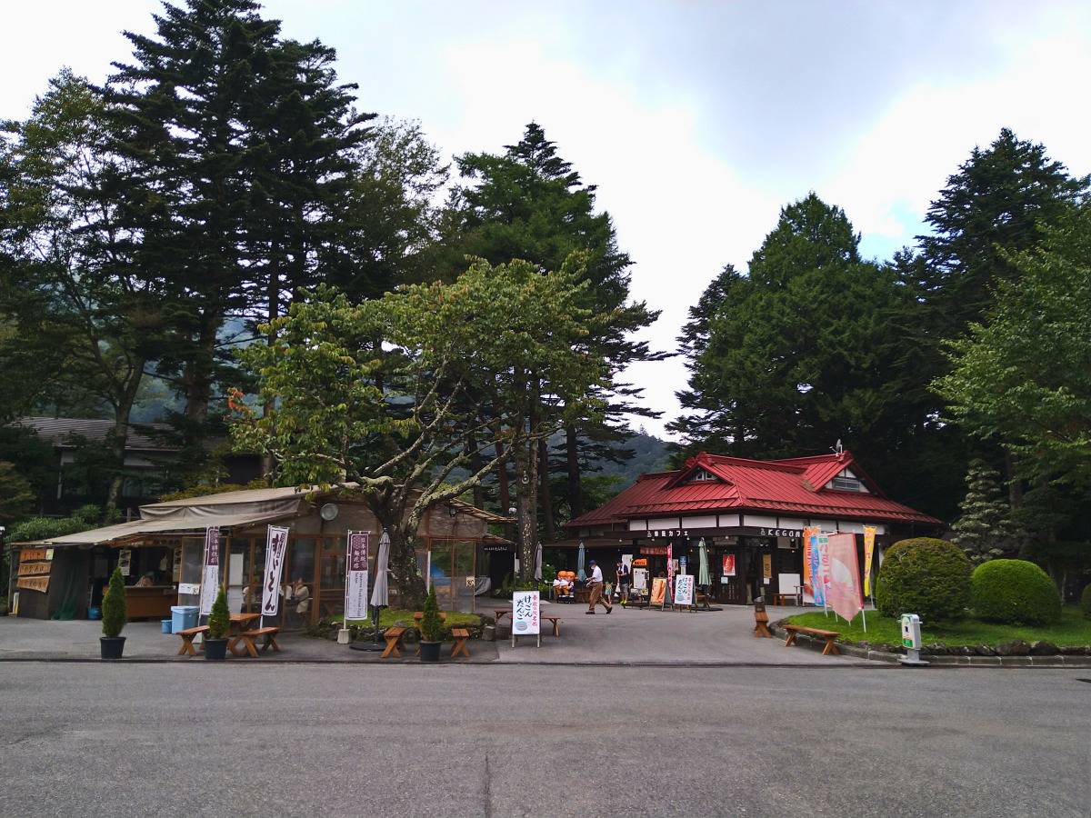 緑に囲まれた軽食屋