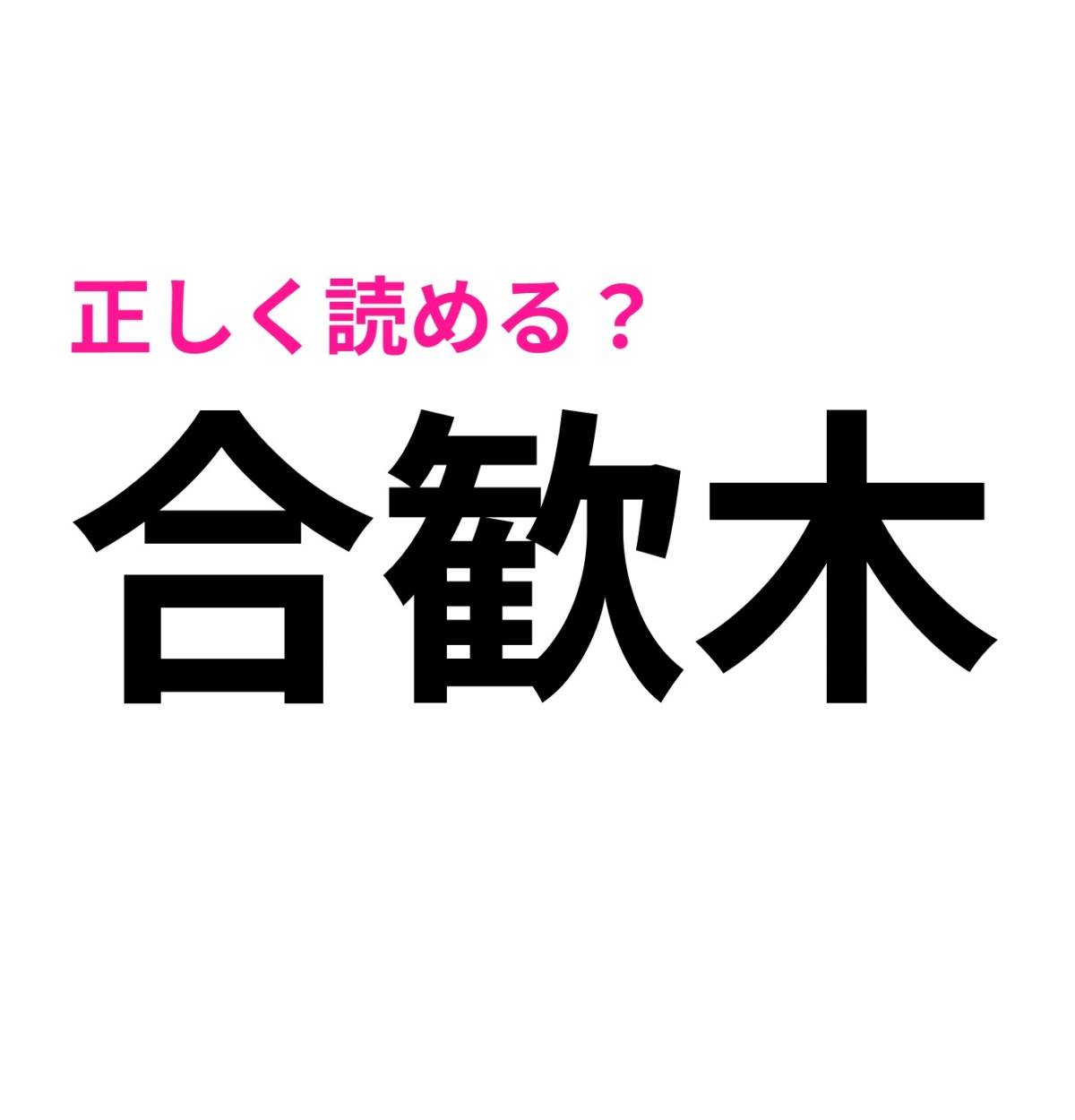 合歓木