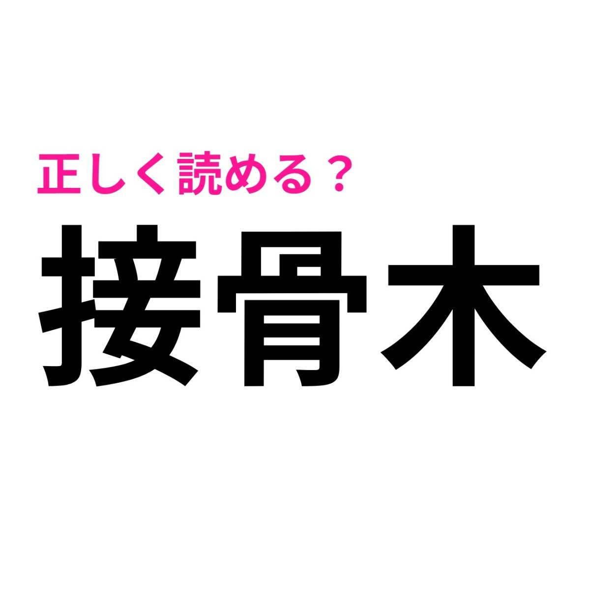 接骨木