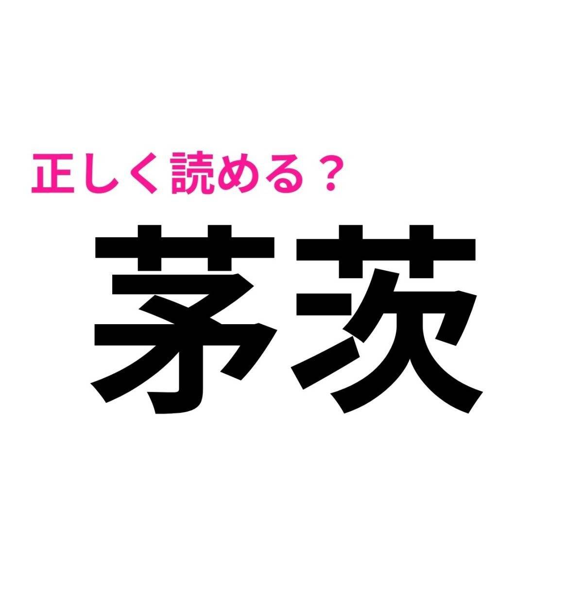 茅茨