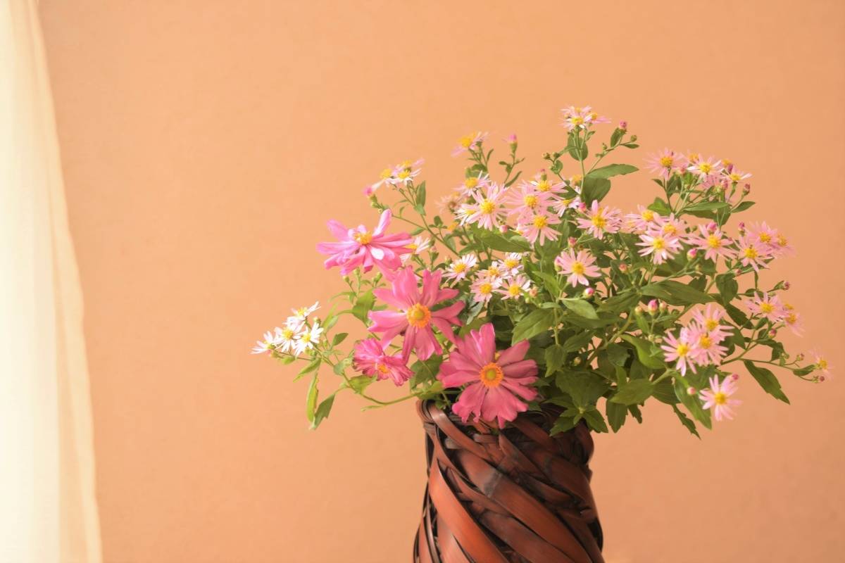 窓　良縁　引き寄せる　白やピンクの花