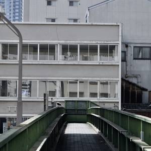  緑色の手すりに囲まれた歩道橋。正面に建物が並び、手すりの上に一羽の鳥がとまっている。 