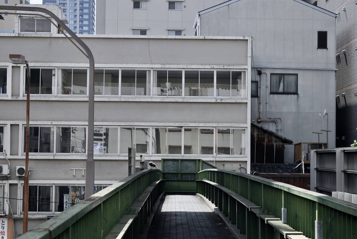 緑色の手すりに囲まれた歩道橋。正面に建物が並び、手すりの上に一羽の鳥がとまっている。
