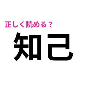  知己 