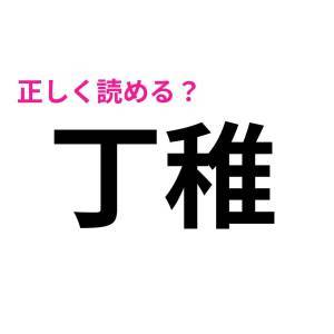  丁稚 