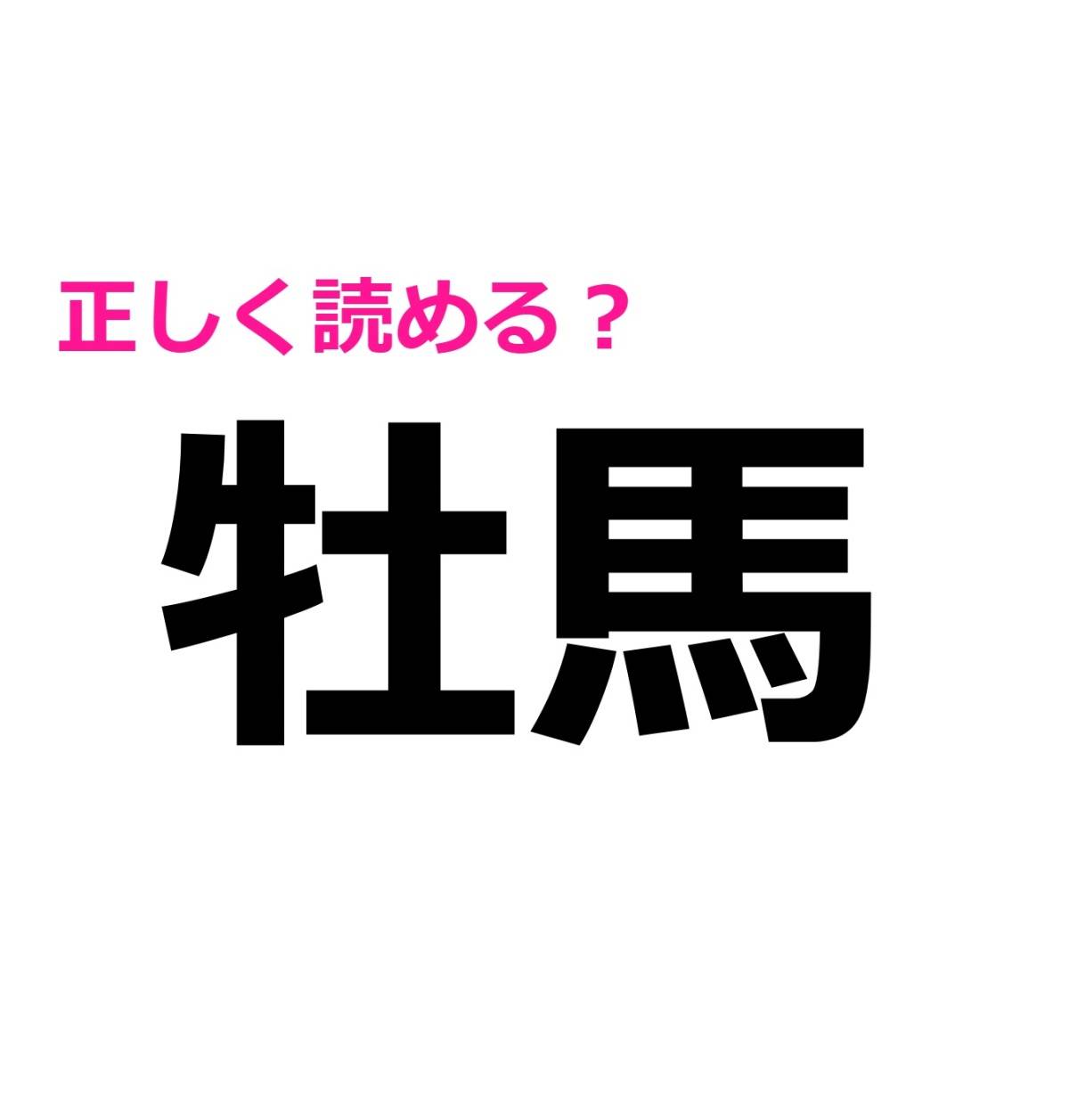 牡馬