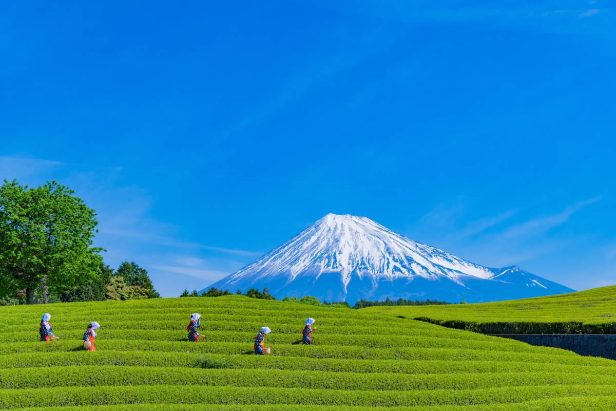 静岡県
