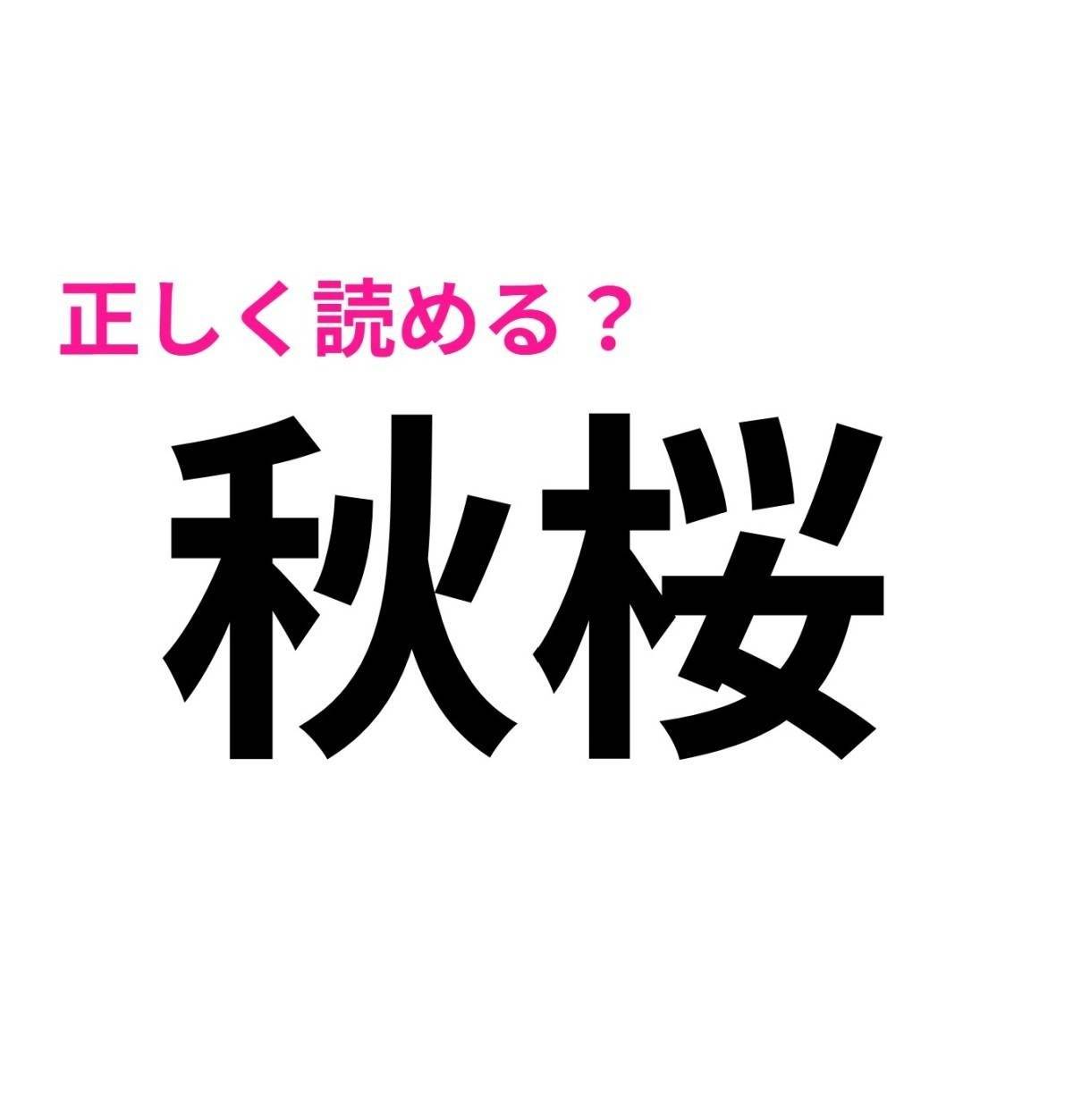 秋桜