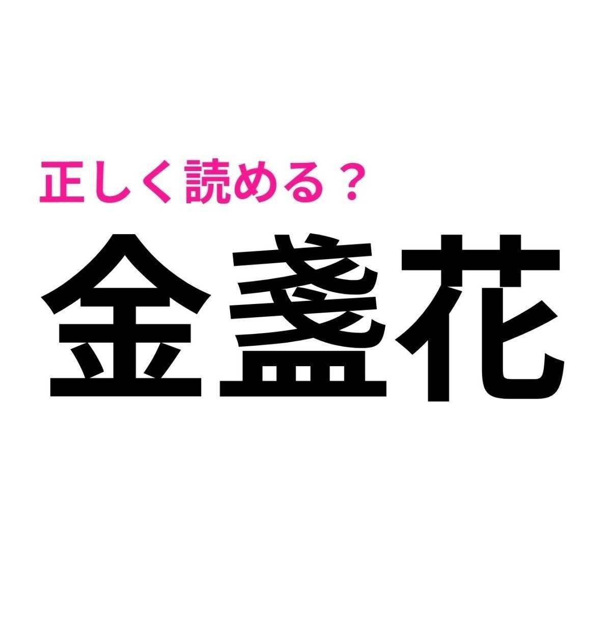 金盞花