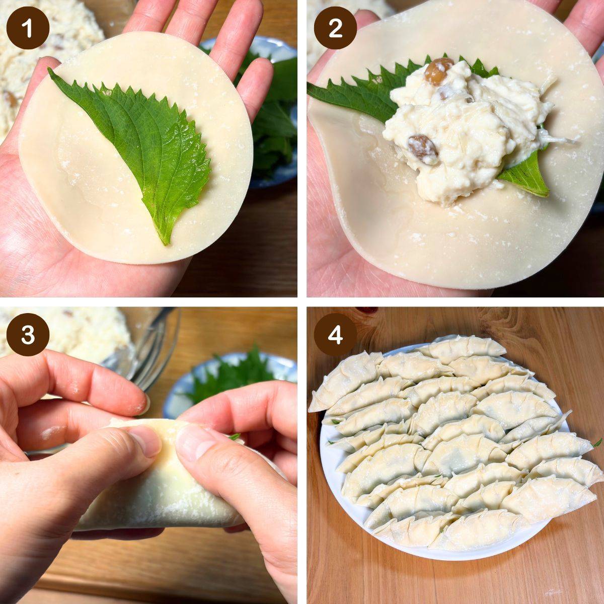 タカノフーズ公式の「豆腐と納豆の香味餃子」のレシピ