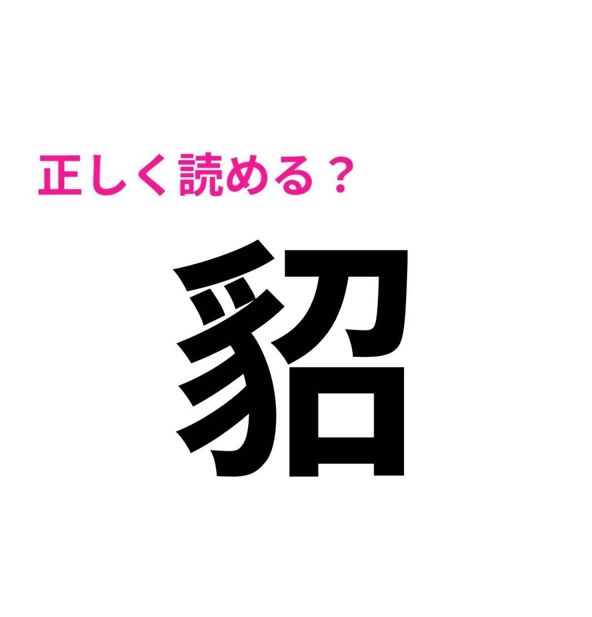 貂