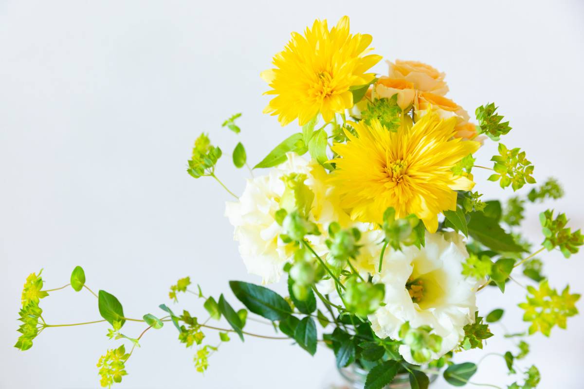 階段　くじ運　上がる　黄色の花