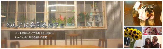 わんこカフェKatanoda(カタノダ) 1