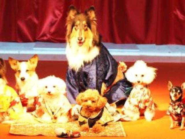 わんわん動物園 1