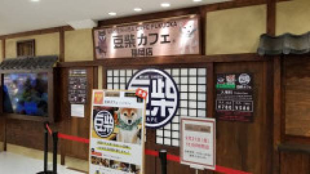 豆柴カフェ 福岡店(マメシバカフェ) 1
