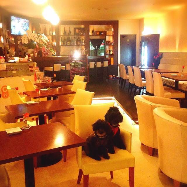 Chou&Cream(シュウ&クリーム)