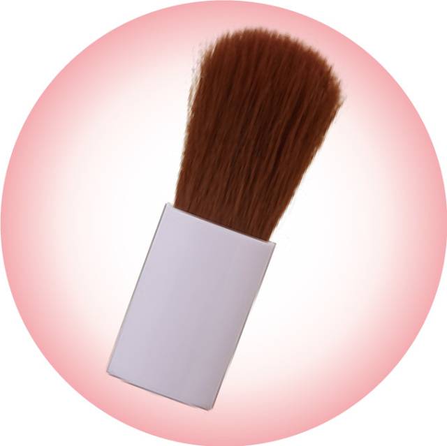 CANMAKE(キャンメイク) パウダーチークス プラムピンク 2